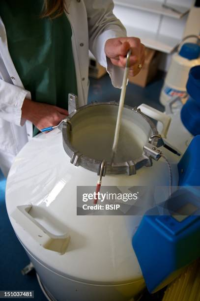 液氮罐內提取樣品 液氮罐內提取樣品